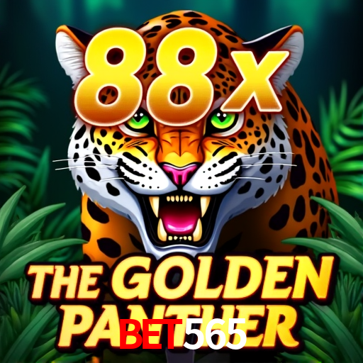 bet565: A Experiência de Casino com Jogos de Mesa ao Vivo